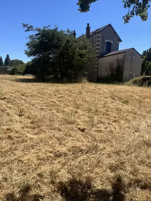 Terrains de loisirs bois etangs a vendre Chinon 37500 Indre-et-Loire 37 33600 euros 37060-2369 001