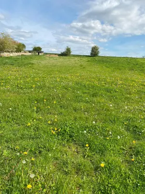 Terrain a batir a vendre Frévin-Capelle 62690 Pas-de-Calais 62 115880 euros 62114-754 001