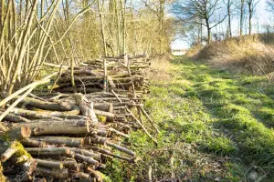 Terrains de loisirs bois etangs a vendre Sogny-aux-Moulins 51520 Marne 51 2500 euros 51084-1284 001