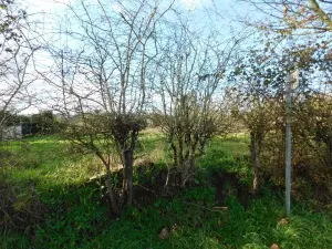 Terrain a batir a vendre Brissarthe 49330 Maine-et-Loire 49 29865 euros 49096-1387 001