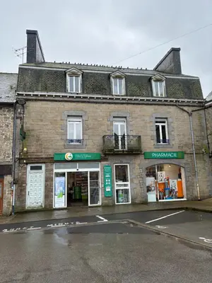 Maison a vendre Rostrenen 22110 Côtes-d'Armor 22 291 m2 11 pièces 206700 euros 44007-1710 001