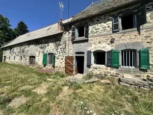 Maison a vendre Neuvéglise-sur-Truyère 15260 Cantal 15 90 m2 43000 euros 15046-91 001