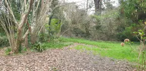 Terrain a batir a vendre Plougonvelin 29217 Finistère 29 360692 euros 29058-1678 001