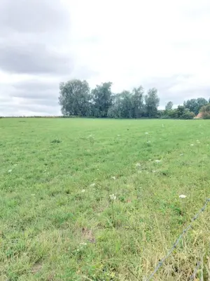 Terrain a batir a vendre Camblain-l'Abbé 62690 Pas-de-Calais 62 58000 euros 62113-1180 001