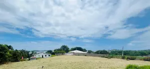 Terrain a batir a vendre Le François 97240 Martinique 972 283500 euros 97204-352 001