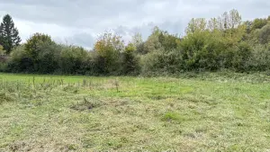 Terrain a batir a vendre Wirwignes 62240 Pas-de-Calais 62 69000 euros 62055-3803 001