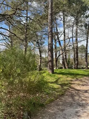 Fonds et murs commerciaux a vendre Vannes 56000 Morbihan 56 344 m2 690100 euros 56001-1225 001