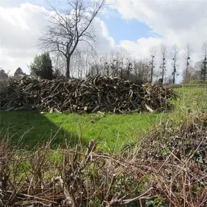 Terrains de loisirs bois etangs a vendre Chérencé-le-Héron 50800 Manche 50 6800 euros 50038-2565 001