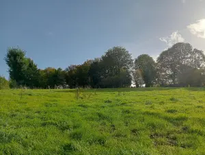 Terrain a batir a vendre Rivière 62173 Pas-de-Calais 62 42592 euros 62183-58 001