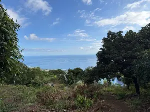 Terrain a batir a vendre Saint-Leu 97436 La Réunion 974 313500 euros 97410-737 001