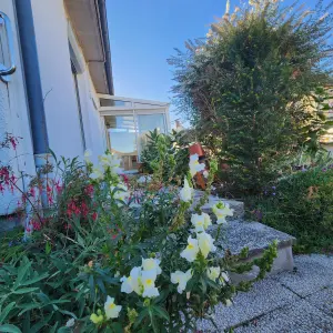 Maison a vendre Avezé 72400 Sarthe 72 72 m2 4 pièces 95400 euros 72085-2278 001