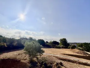 Terrain a batir a vendre Restinclières 34160 Hérault 34 200000 euros 34012-812 001