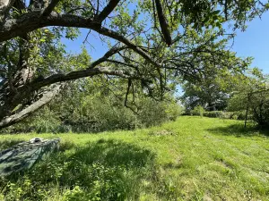 Terrains de loisirs bois etangs a vendre Marolles-les-Braults 72260 Sarthe 72 17640 euros 72126-2957 001