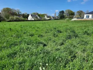Terrain a batir a vendre La Chapelle-Caro 56460 Morbihan 56 73660 euros 56044-1470 001