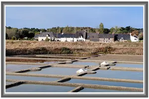 Maison a vendre Guérande 44350 Loire-Atlantique 44 108 m2 4 pièces 395200 euros 44128-1089 001
