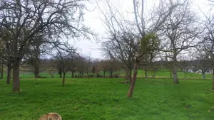Terrain a batir a vendre Valdallière 14410 Calvados 14 37700 euros V890-VIES 001