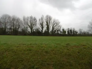 Terrain a batir a vendre Le Tourneur 14350 Calvados 14 33000 euros 14076-5358 001
