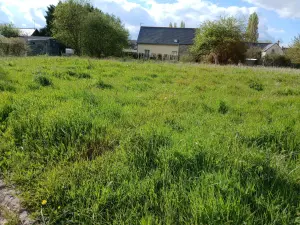 Terrain a batir a vendre Corné 49630 Maine-et-Loire 49 136150 euros 49039-1106 001