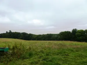 Terrains de loisirs bois etangs a vendre Plouray 56770 Morbihan 56 15990 euros 56075-2387 001