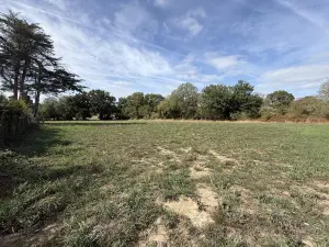 Terrain a batir a vendre Berric 56230 Morbihan 56 207900 euros 56084-498 001