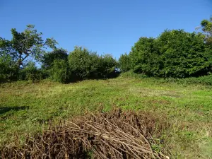 Terrain a batir a vendre Prouilly 51140 Marne 51 79000 euros 51082-2239 001