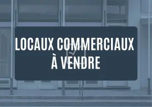 Fonds et murs commerciaux a vendre La Possession 97419 La Réunion 974 270 m2 381800 euros 97409-342 001