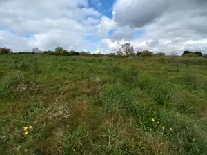Terrain a batir a vendre Meslan 56320 Morbihan 56 84860 euros 56032-1571 001