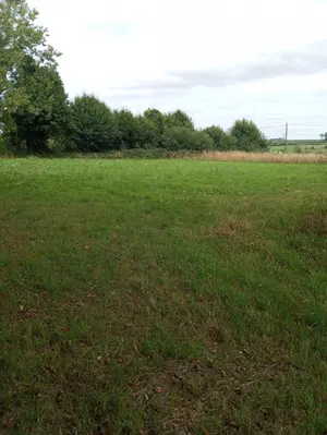 Terrains de loisirs bois etangs a vendre Clairfontaine 02260 Aisne 02 86000 euros 02082-580 001