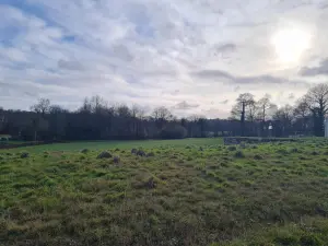 Terrain a batir a vendre Pleugriffet 56120 Morbihan 56 27400 euros 56053-2511 001