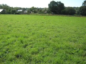 Terrain a batir a vendre Roullours 14500 Calvados 14 40040 euros 14076-5445 001