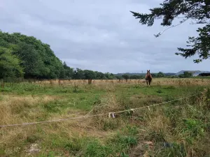 Terrain a batir a vendre Roudouallec 56110 Morbihan 56 36188 euros 56071-2543 001