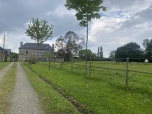 Maison a vendre Saint-Clet 22260 Côtes-d'Armor 22 210 m2 519750 euros 22079-866 001