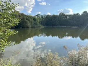 Terrains de loisirs bois etangs a vendre Saint-Georges-de-Montaigu 85600 Vendée 85 83900 euros 85020-1498 001