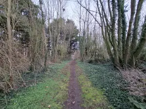 Terrains de loisirs bois etangs a vendre Ames 62190 Pas-de-Calais 62 28000 euros 62050-1772 001