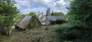 Maison a vendre Larré 56230 Morbihan 56 74 m2 53500 euros 56013-879 001