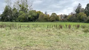 Terrain a batir a vendre Wirwignes 62240 Pas-de-Calais 62 61400 euros 62055-3806 001