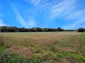 Terrain a batir a vendre Malestroit 56140 Morbihan 56 61200 euros 56044-1501 001