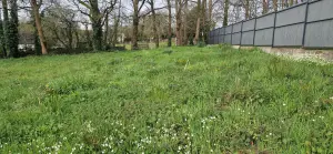 Terrain a batir a vendre Pontivy 56300 Morbihan 56 85085 euros 56062-2303 001