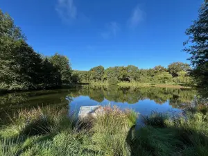 Terrains de loisirs bois etangs a vendre Saint-Christophe-du-Luat 53150 Mayenne 53 84320 euros 53078-1877 001