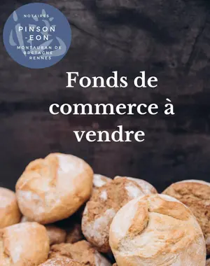 Fonds et murs commerciaux a vendre Montauban-de-Bretagne 35360 Ille-et-Vilaine 35 143 m2 310880 euros 35056-1550 001