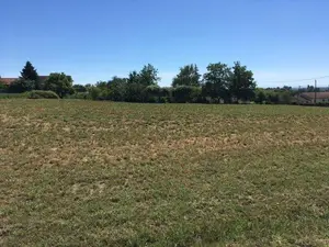 Terrain a batir a vendre Montbellet 71260 Saône-et-Loire 71 73884 euros SC 001