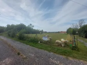 Terrain a batir a vendre Charbogne 08130 Ardennes 08 30545 euros ATT181 001