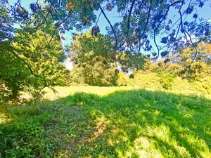 Terrain a batir a vendre Plougastel-Daoulas 29470 Finistère 29 931 m2 121088 euros PLOUG-Lot B 001