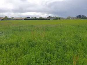 Terrain a batir a vendre Valence 82400 Tarn-et-Garonne 82 15446 m2 307400 euros 1461 001