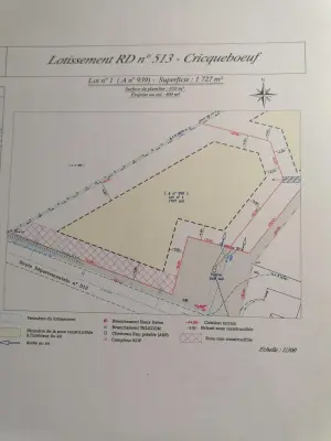 Terrain a batir a vendre Cricquebœuf 14113 Calvados 14 650 m2 199000 euros TB130 001