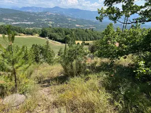 Terrain a batir a vendre Pelleautier 05000 Hautes-Alpes 05 4114 m2 157500 euros 003/TAB1024 001