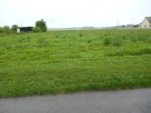 Terrain a batir a vendre Gigny-sur-Saône 71240 Saône-et-Loire 71 36000 euros 2024-16 001