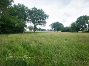 Bien agricole a vendre Loiron-Ruillé 53320 Mayenne 53 112350 euros achat_bien_agricole_com_53137_53320 001