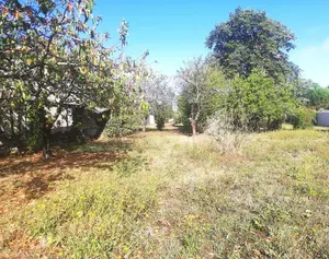 Terrain a batir a vendre Le Château-d'Oléron 17480 Charente-Maritime 17 126400 euros DD/JOM/25-34 001