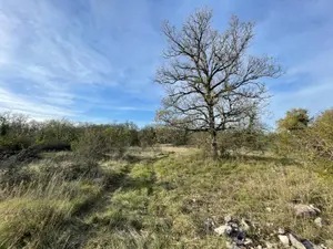 Terrains de loisirs bois etangs a vendre Assier 46320 Lot 46 23000 euros 25.029 001